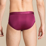Classic Mens Silk Briefs Sexy Silk Triangle Boxer